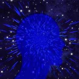 Člověk v programech mysli