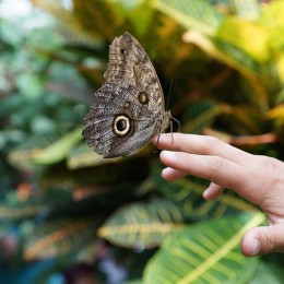 Mé dvanáctero lidství